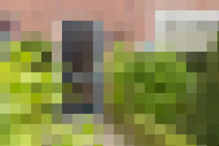 Beatrixstraat 3 de Lutte thumbnail 6