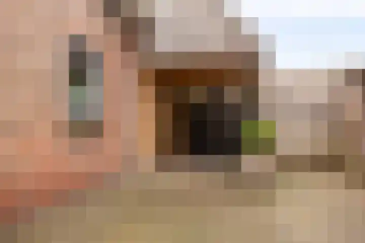 Beatrixstraat 3 de Lutte thumbnail 8