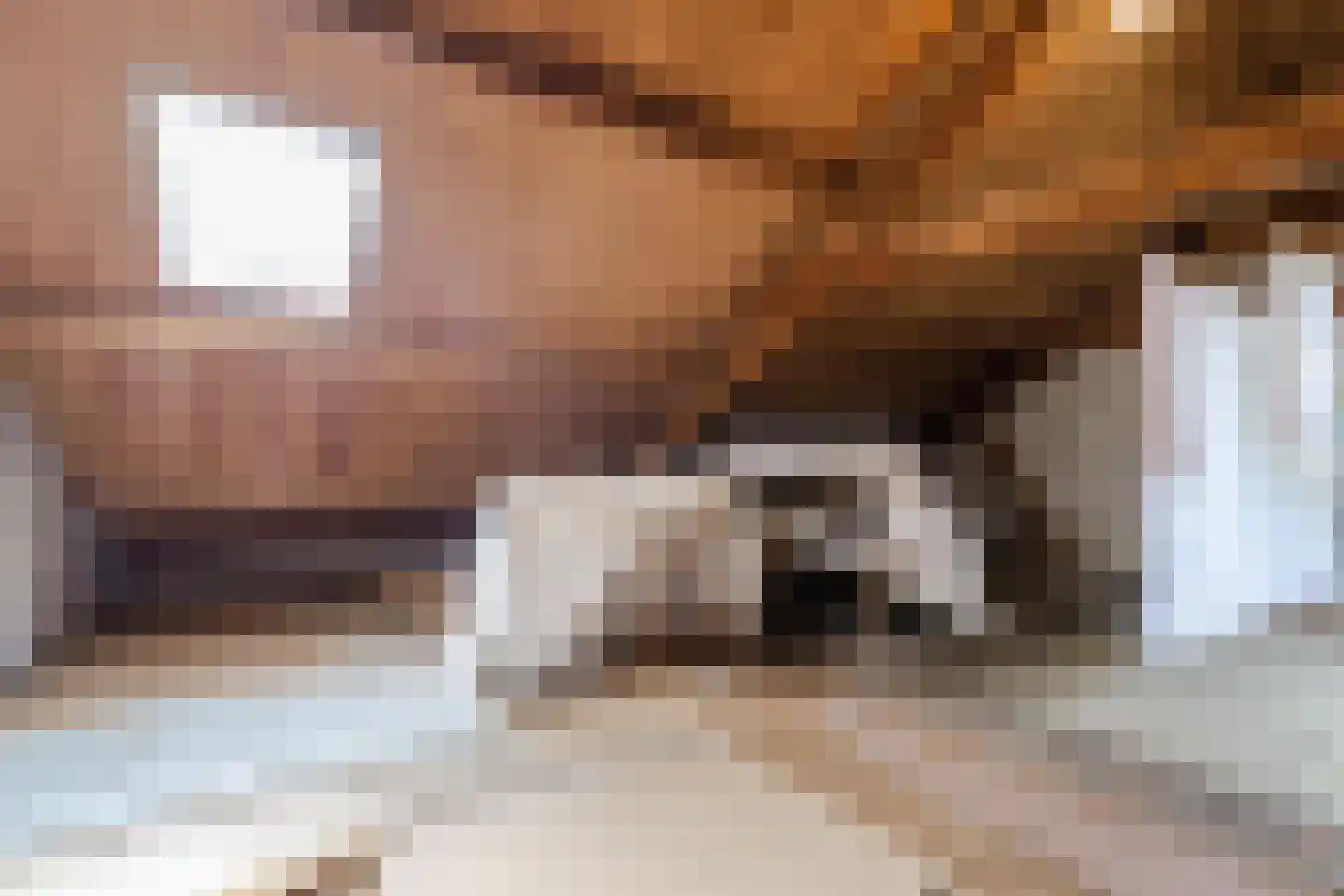 Beatrixstraat 3 Papendrecht thumbnail 10