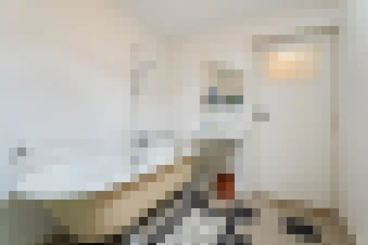 Beatrixstraat 3 Papendrecht thumbnail 11
