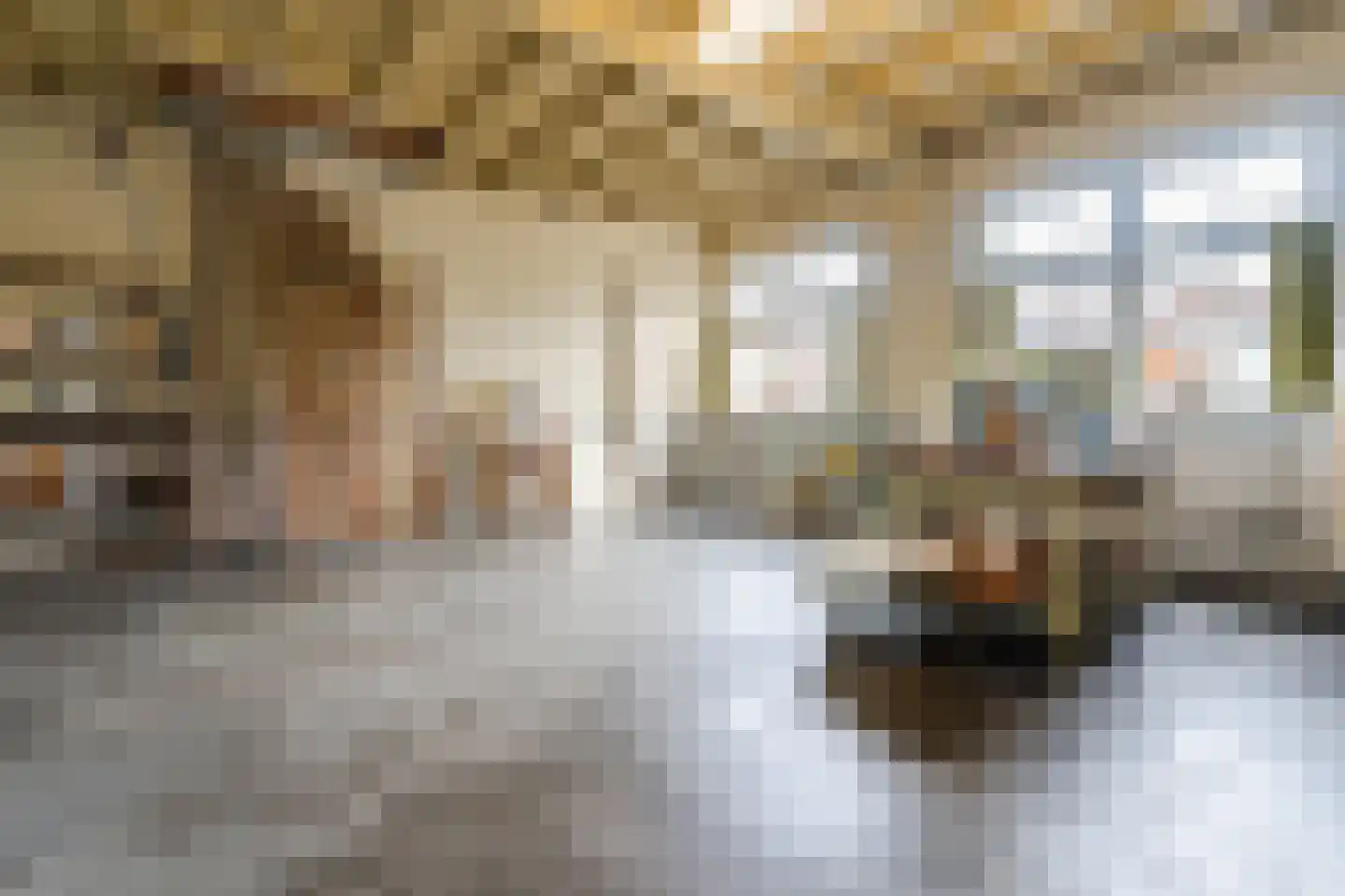 Beatrixstraat 3 Papendrecht thumbnail 13