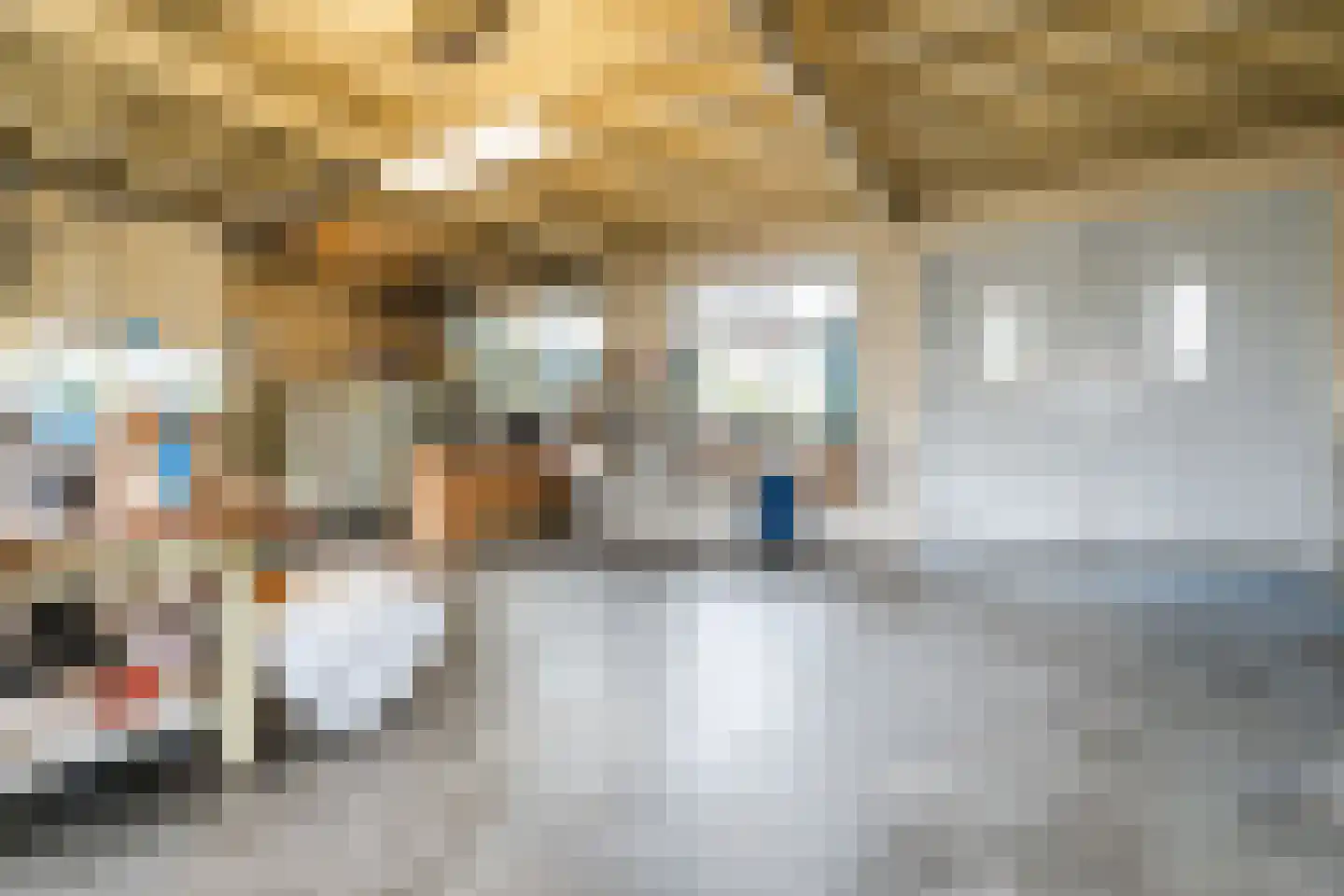 Beatrixstraat 3 Papendrecht thumbnail 14