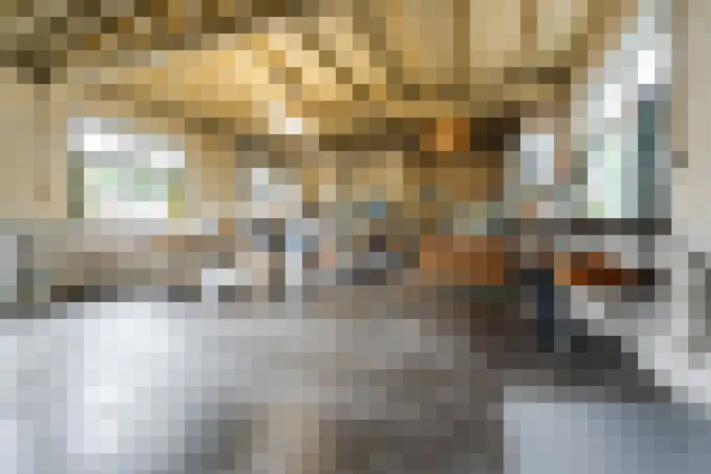 Beatrixstraat 3 Papendrecht thumbnail 15