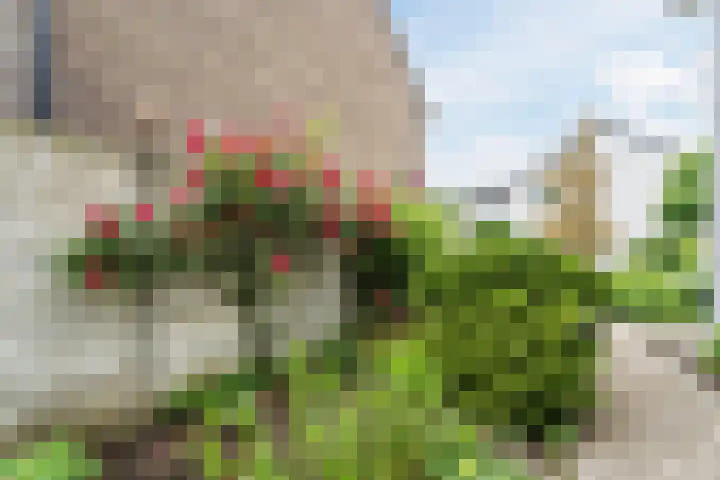 Beatrixstraat 3 Papendrecht thumbnail 22