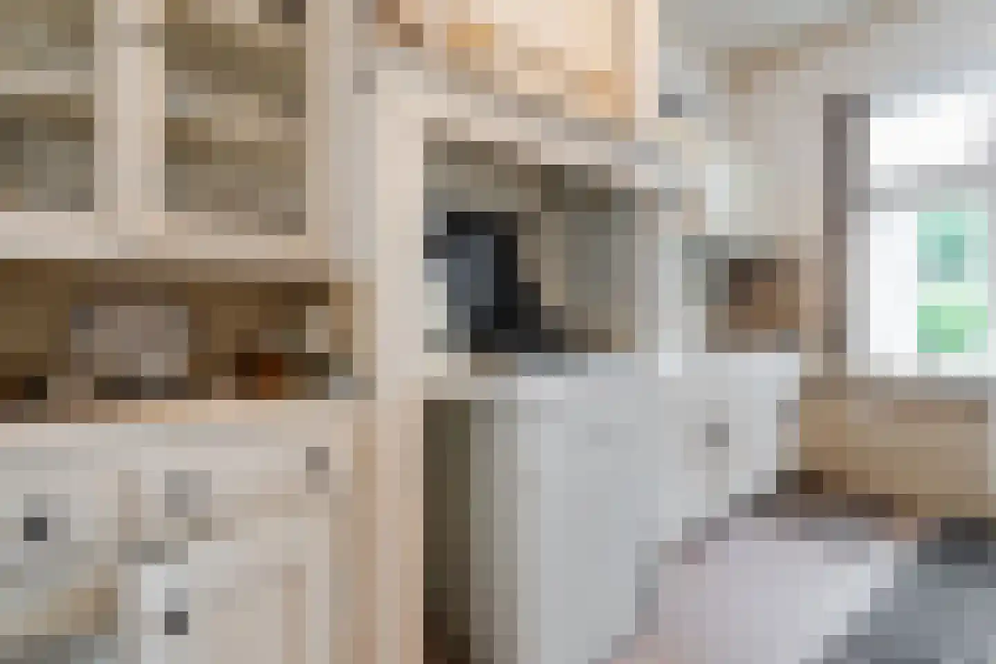 Beatrixstraat 3 Papendrecht thumbnail 5