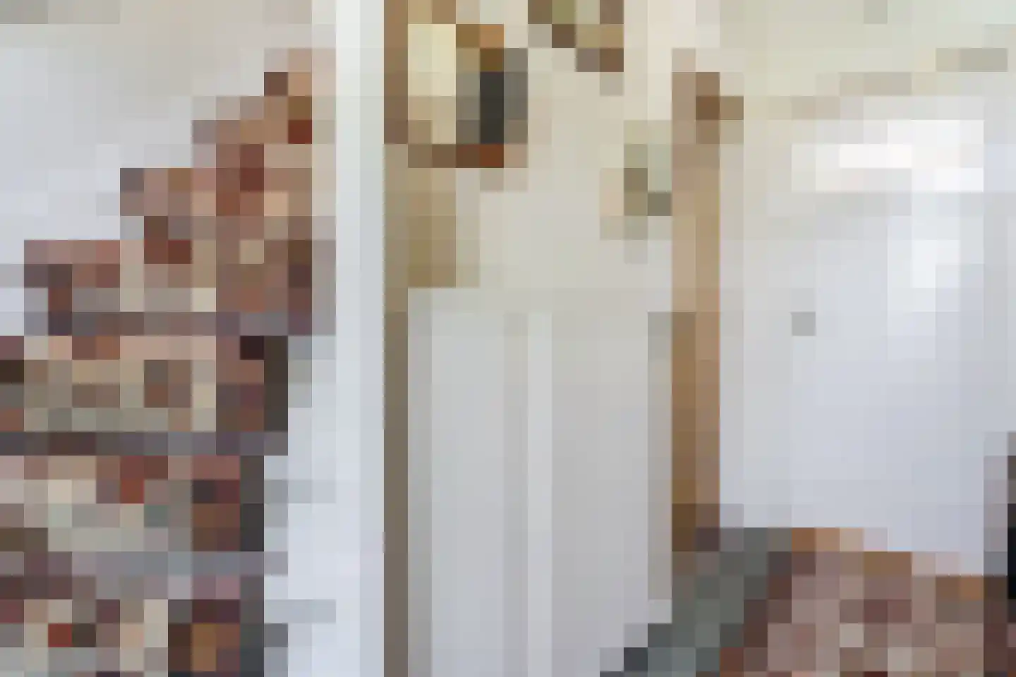 Beatrixstraat 3 Papendrecht thumbnail 6