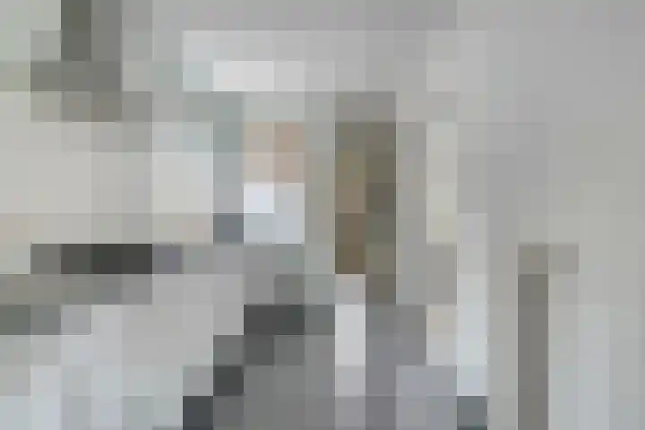 Beatrixstraat 3 Son en Breugel thumbnail 12