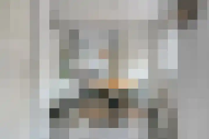 Beatrixstraat 3 Son en Breugel thumbnail 15