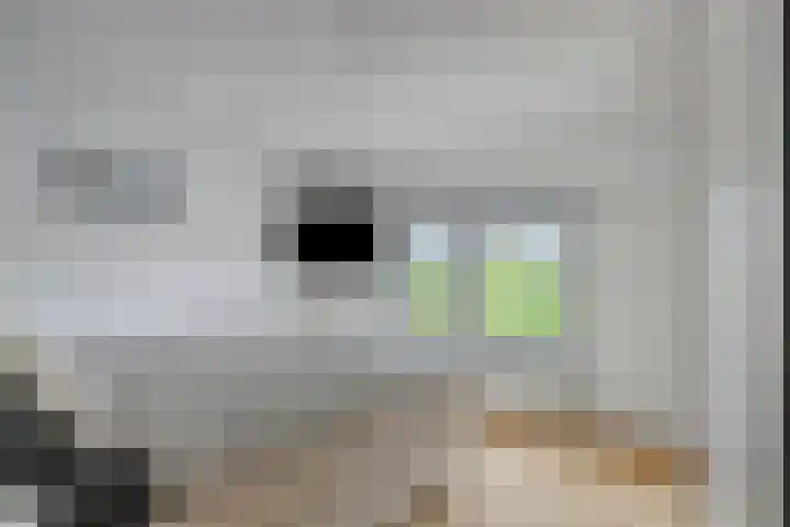 Beatrixstraat 3 Son en Breugel thumbnail 17