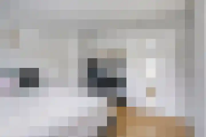 Beatrixstraat 3 Son en Breugel thumbnail 21