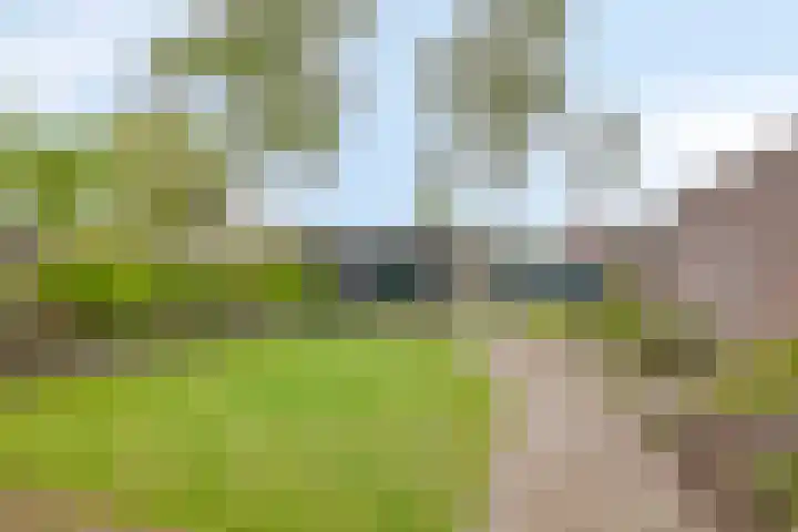 Beatrixstraat 3 Son en Breugel thumbnail 32