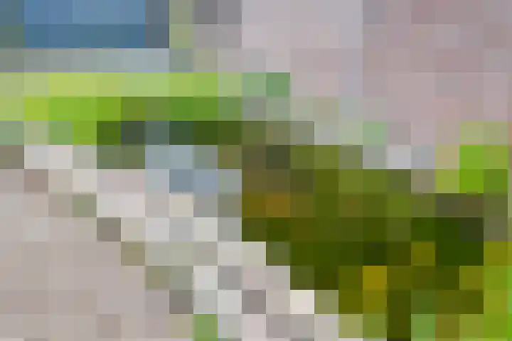 Beatrixstraat 3 Son en Breugel thumbnail 33