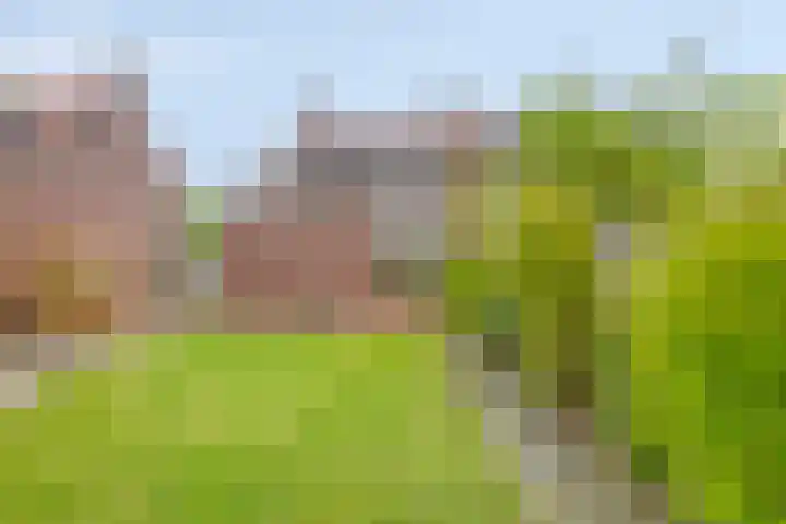 Beatrixstraat 3 Son en Breugel thumbnail 36