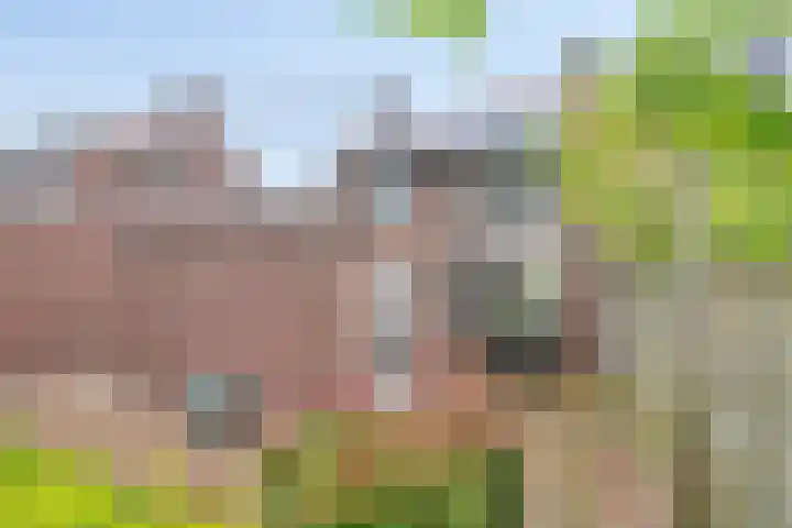 Beatrixstraat 3 Son en Breugel thumbnail 37