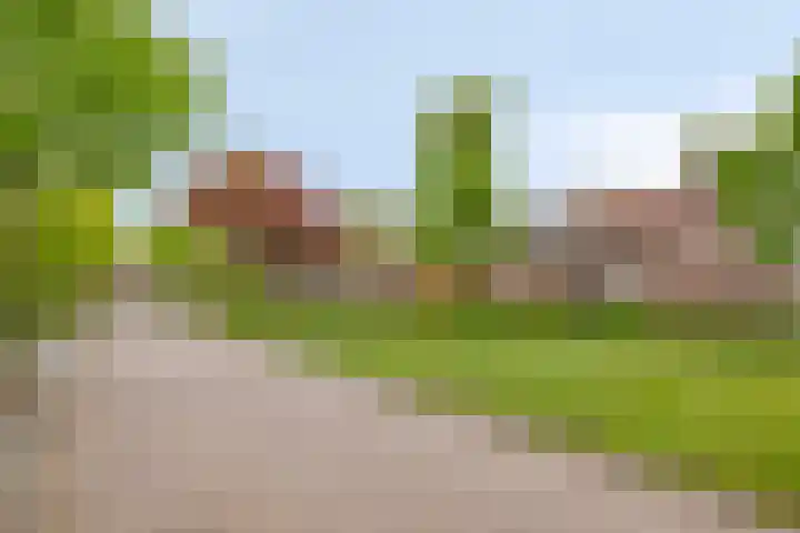 Beatrixstraat 3 Son en Breugel thumbnail 41