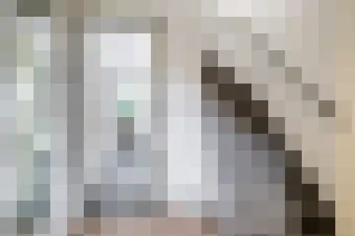 Beatrixstraat 3 Son en Breugel thumbnail 5