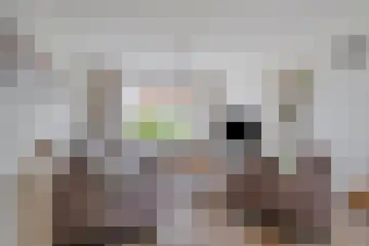 Beatrixstraat 3 Son en Breugel thumbnail 7