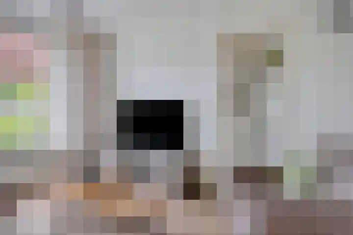 Beatrixstraat 3 Son en Breugel thumbnail 8