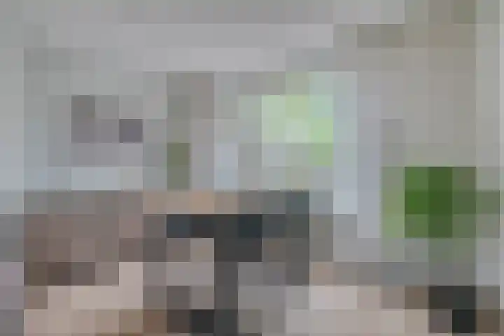 Beatrixstraat 3 Son en Breugel thumbnail 9