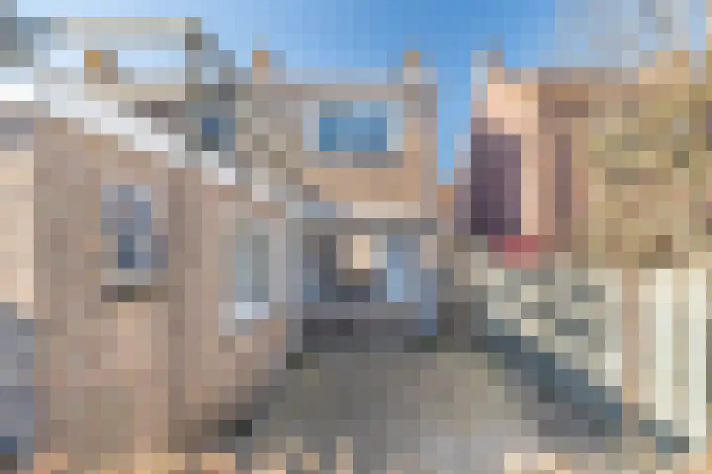 Beatrixstraat 3 Yerseke thumbnail 28