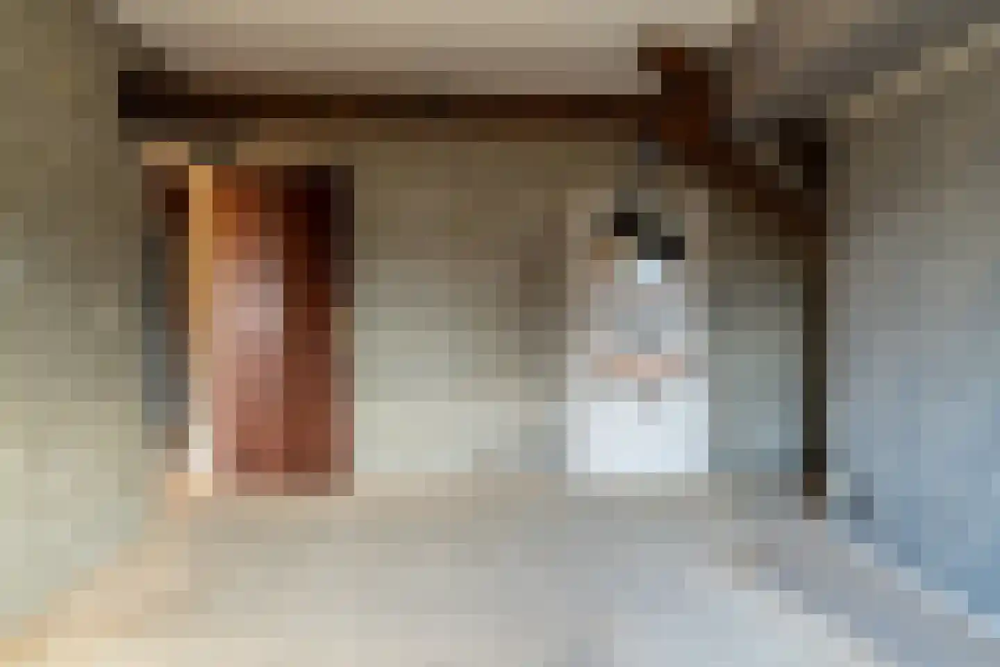 Beatrixstraat 30 A Andel thumbnail 19