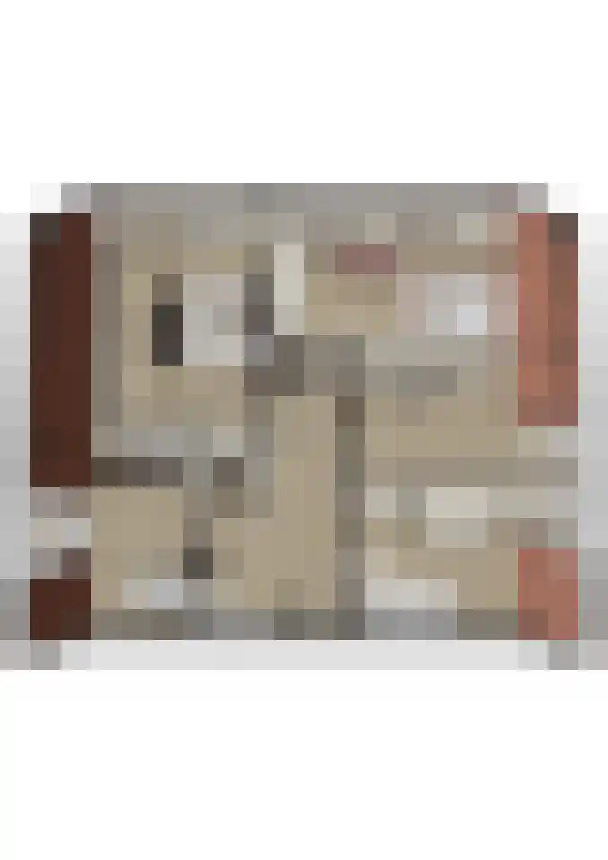 Beatrixstraat 30 A Andel thumbnail 34