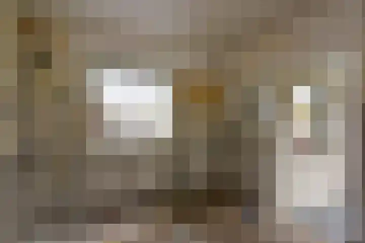 Beatrixstraat 30 Wilnis thumbnail 4
