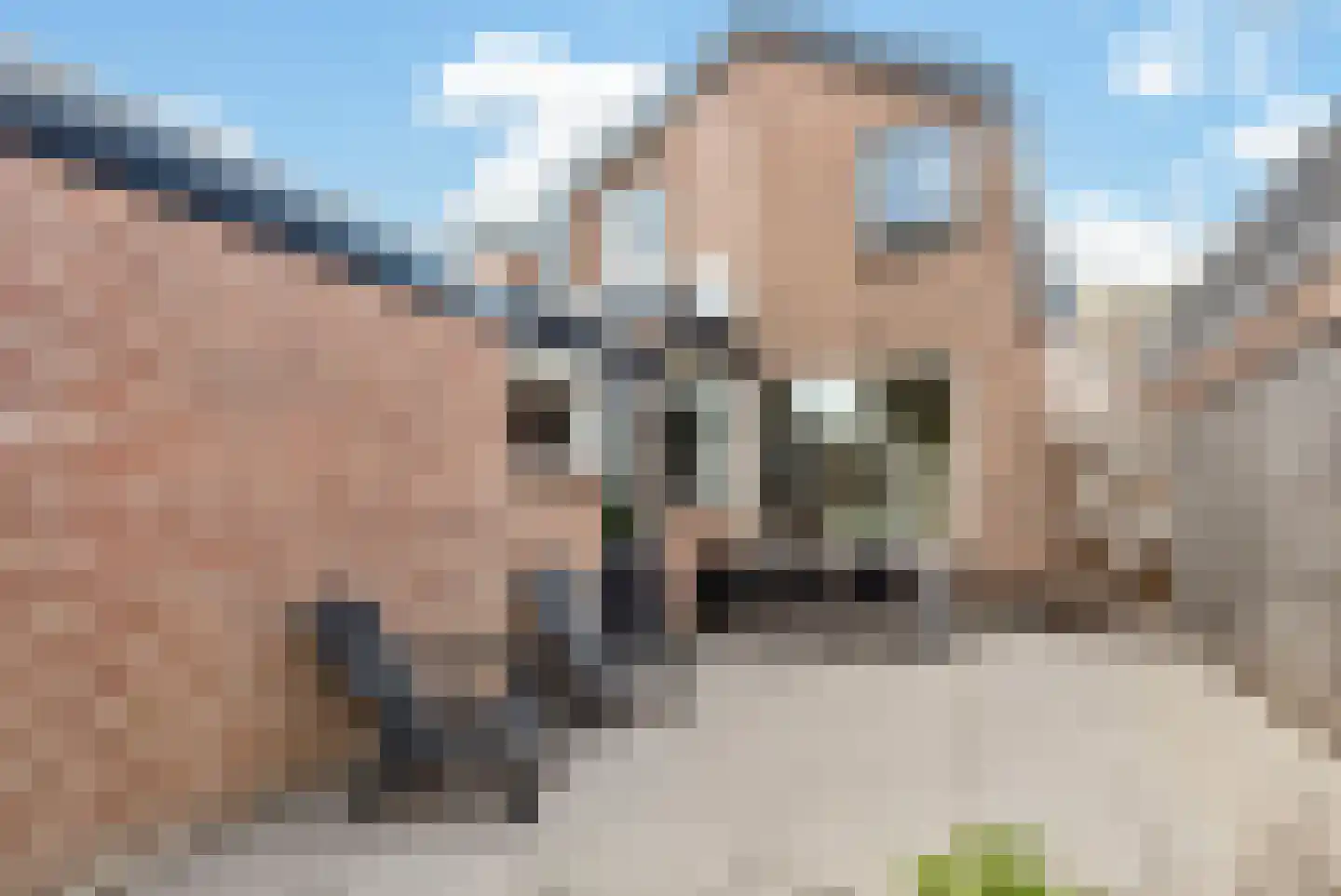 Beatrixstraat 32 Veenendaal thumbnail 46