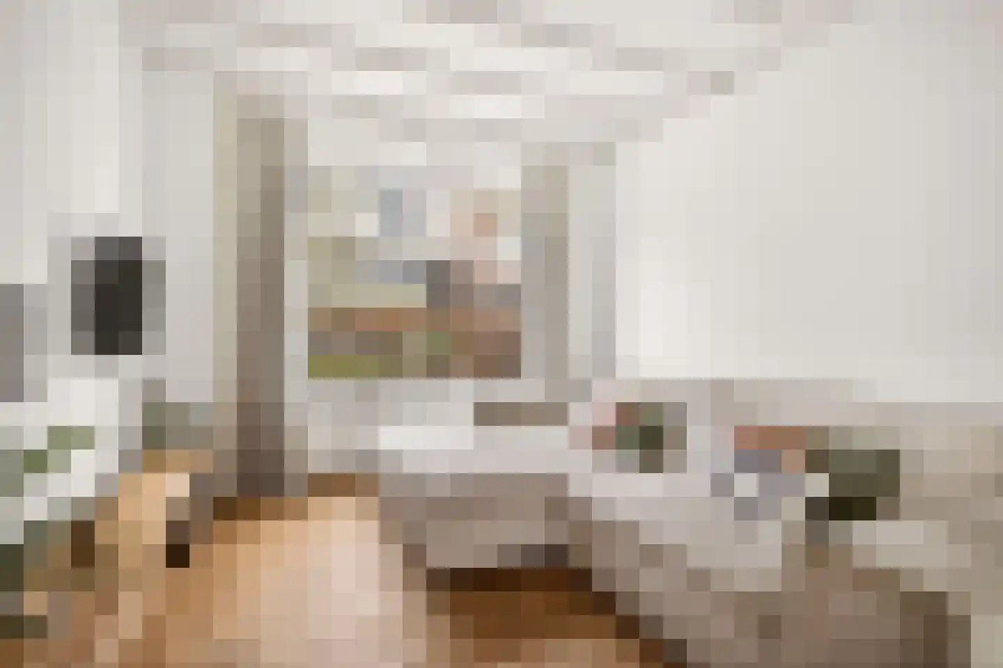 Beatrixstraat 32 Veenendaal thumbnail 5