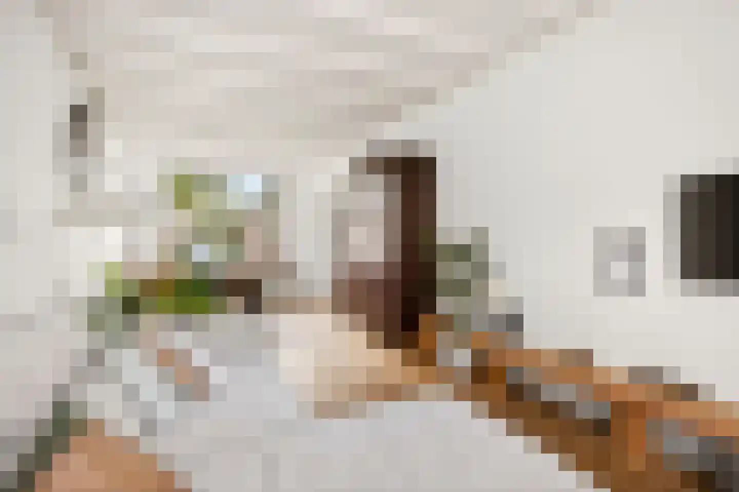 Beatrixstraat 32 Veenendaal thumbnail 9