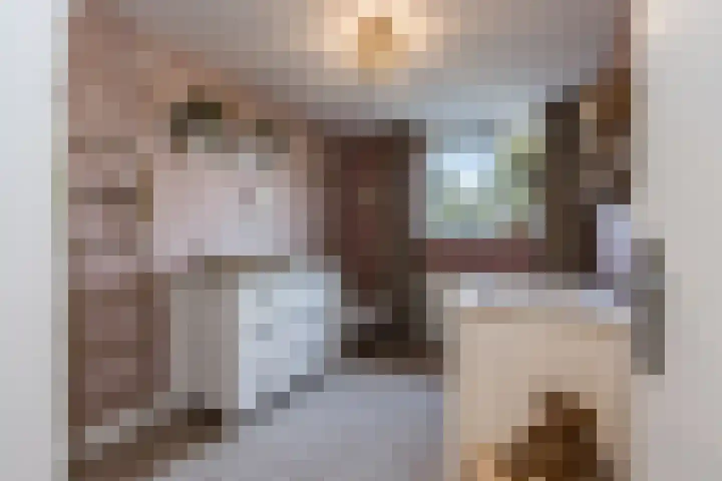 Beatrixstraat 33 Aalst thumbnail 19