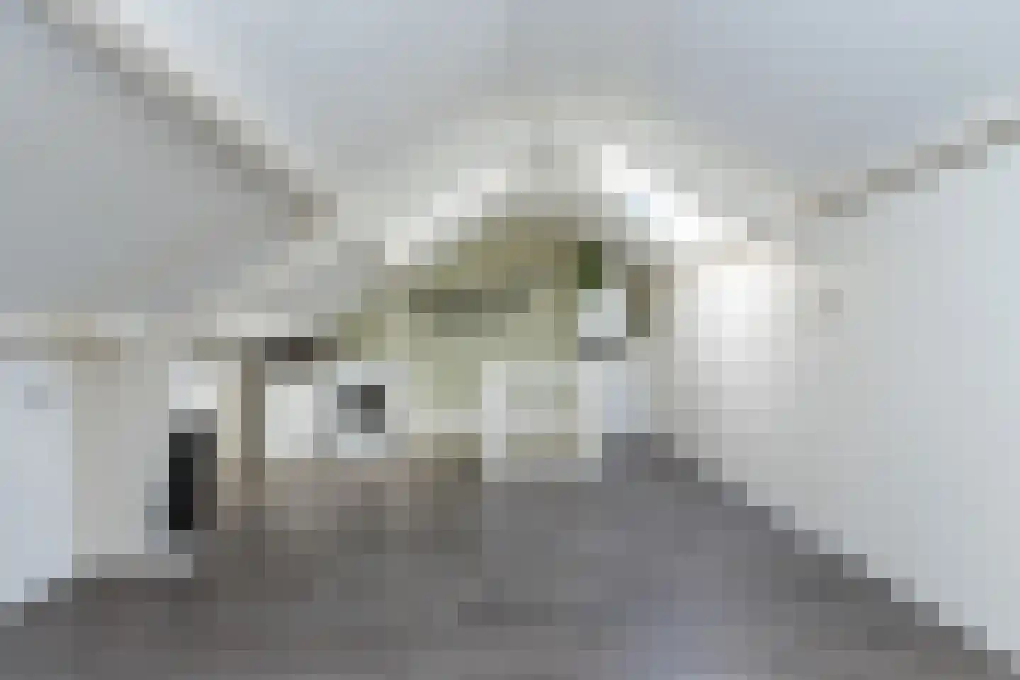 Beatrixstraat 33 Aalst thumbnail 24