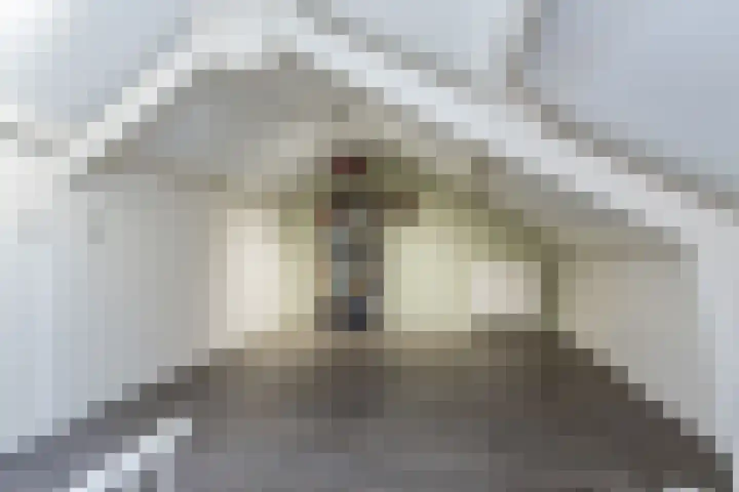 Beatrixstraat 33 Aalst thumbnail 25