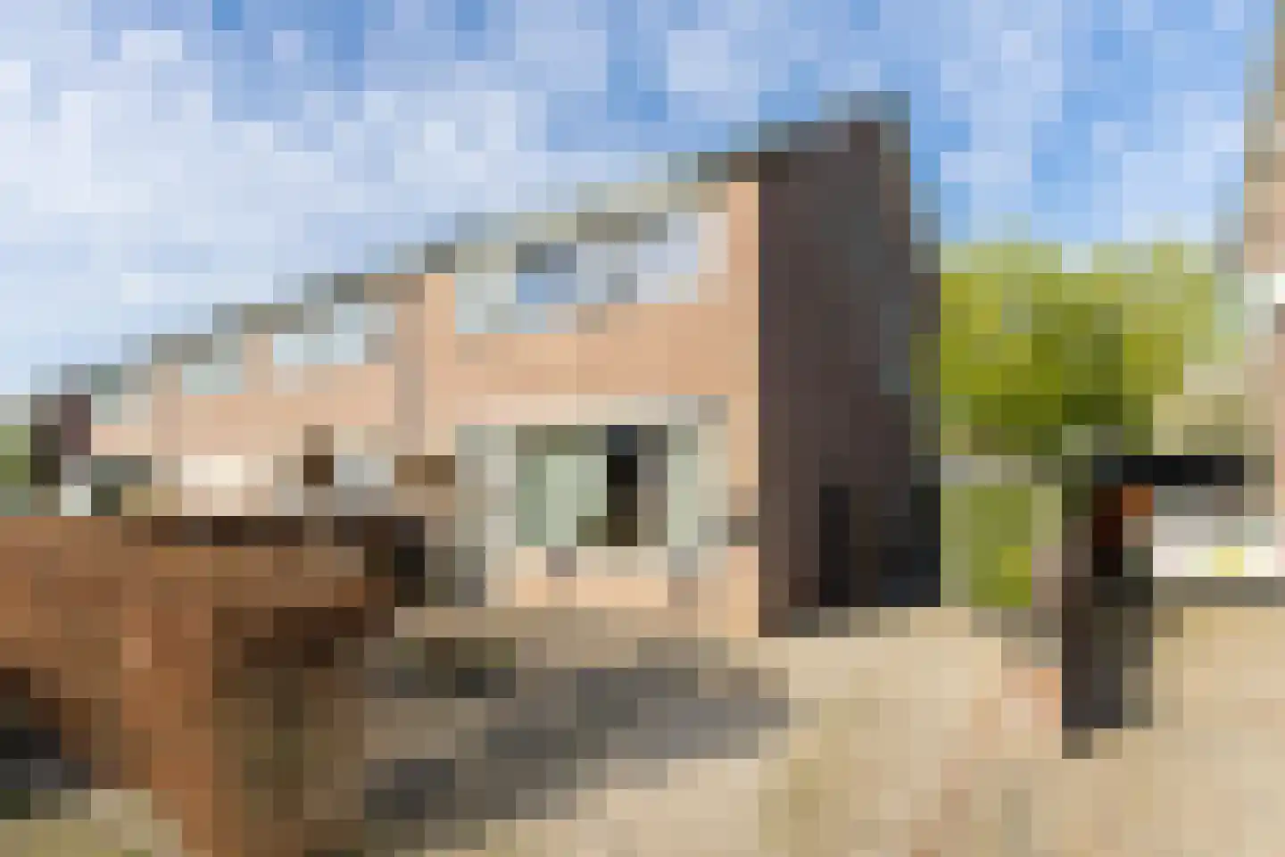 Beatrixstraat 33 Aalst thumbnail 30
