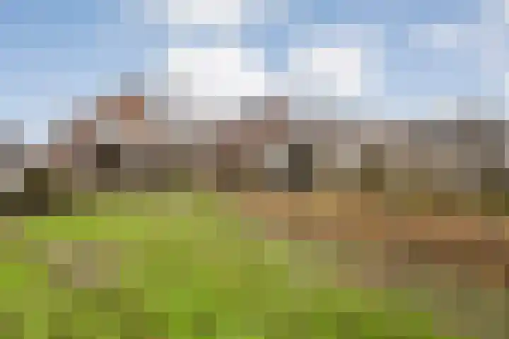 Beatrixstraat 34 de Lutte thumbnail 4