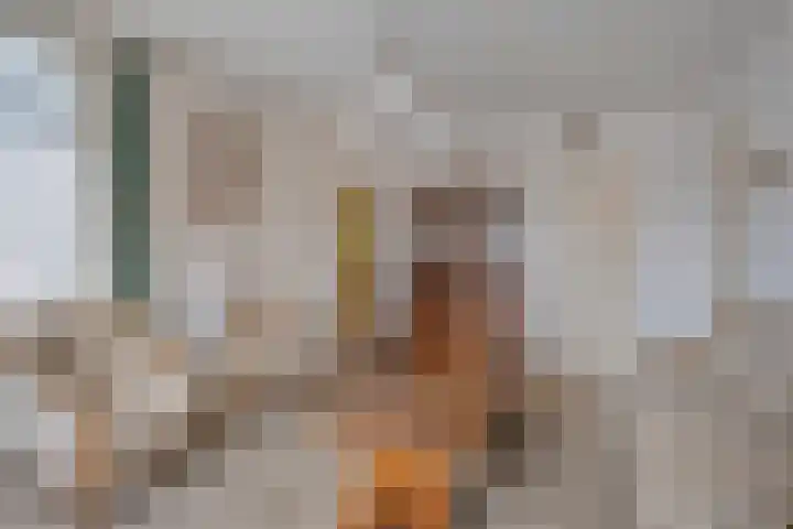 Beatrixstraat 34 de Lutte thumbnail 6