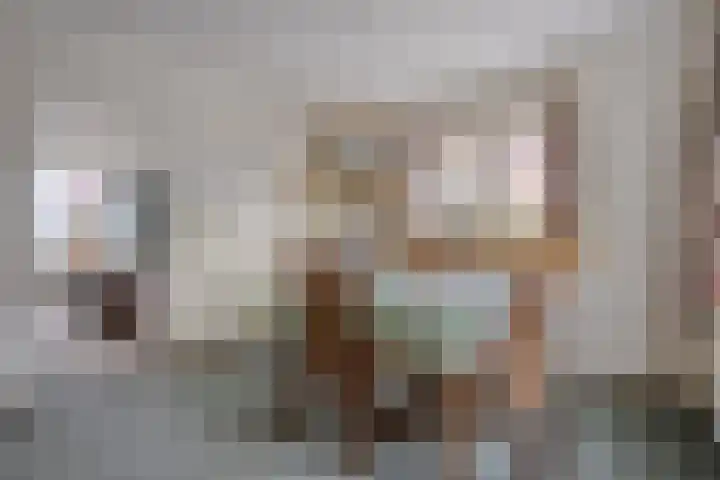 Beatrixstraat 34 de Lutte thumbnail 9