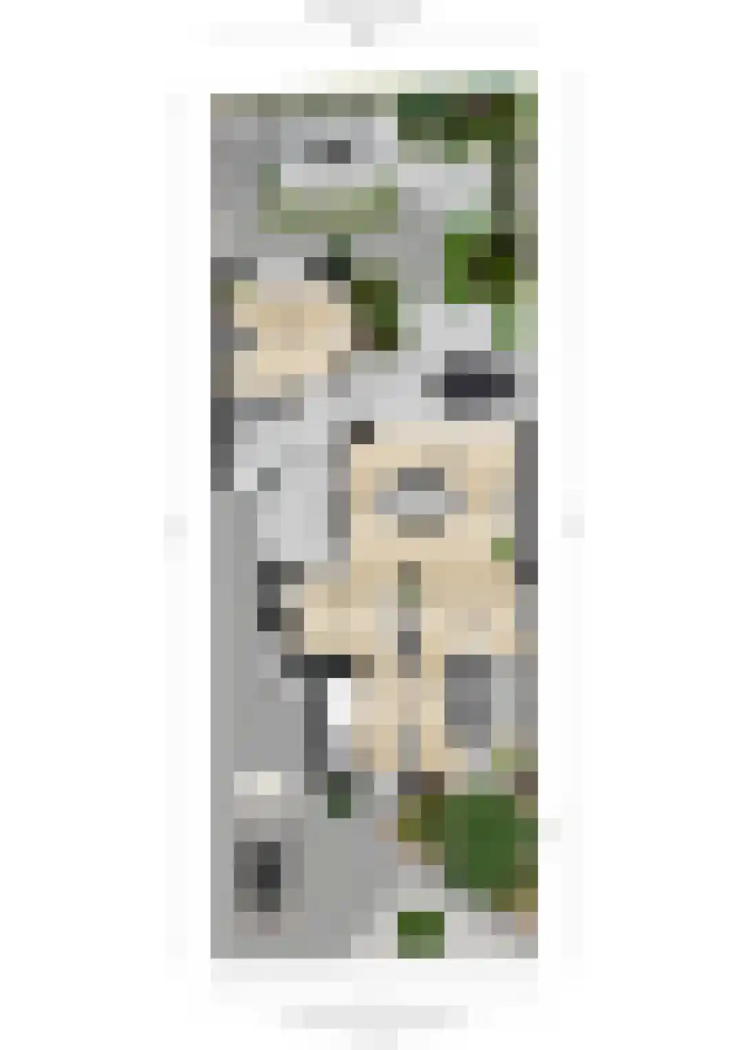 Beatrixstraat 34 Groenlo thumbnail 31