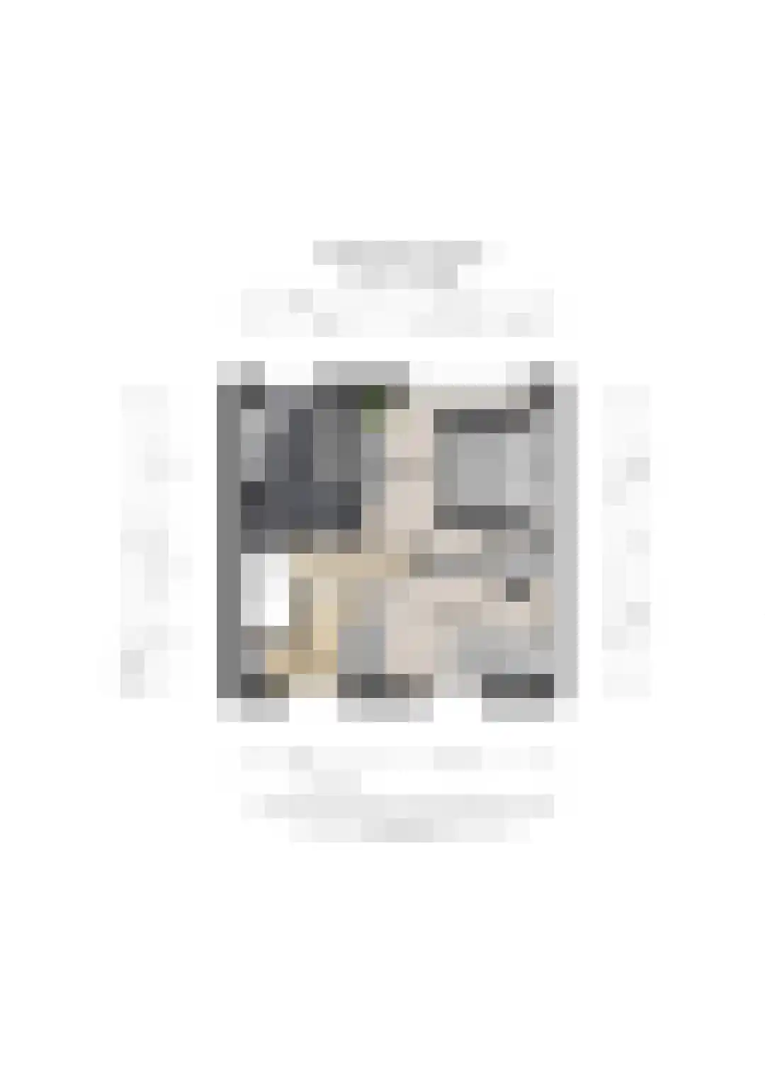 Beatrixstraat 34 Groenlo thumbnail 33