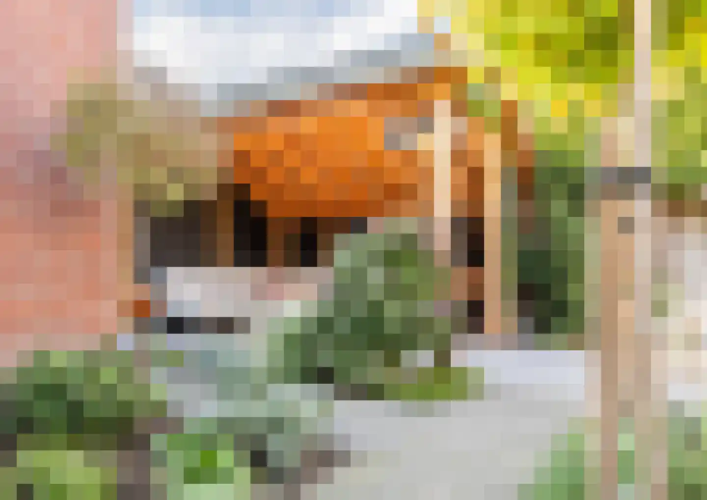 Beatrixstraat 34 Groenlo thumbnail 4