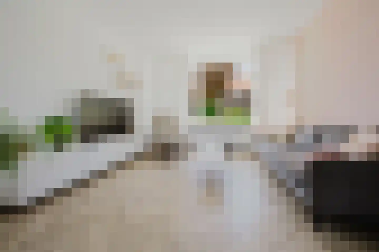 Beatrixstraat 34 Rhoon thumbnail 11