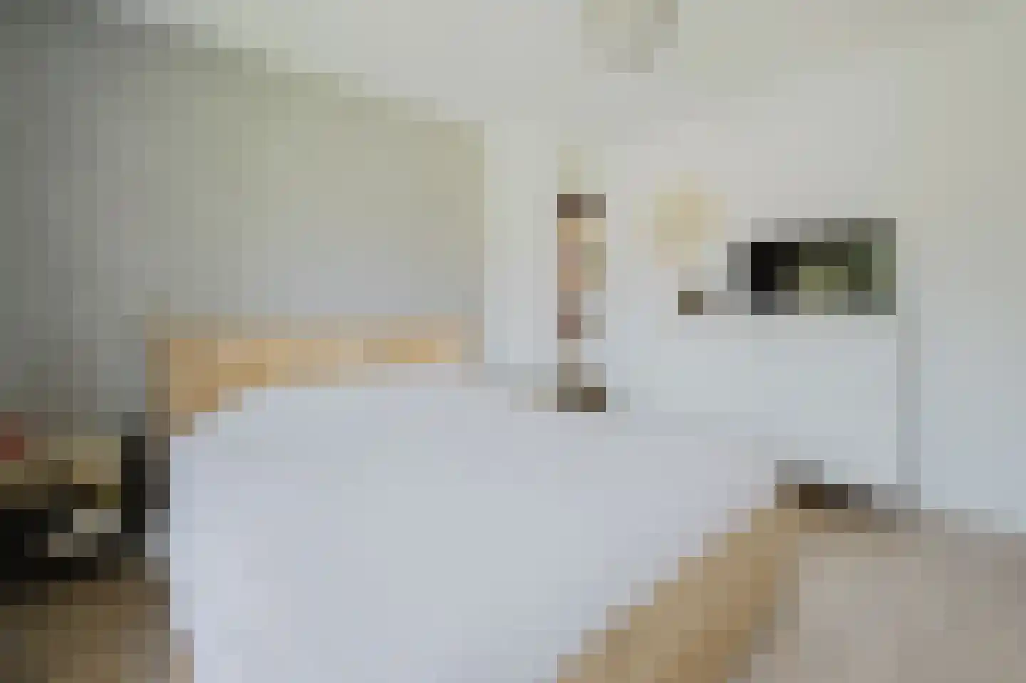 Beatrixstraat 34 Rhoon thumbnail 20