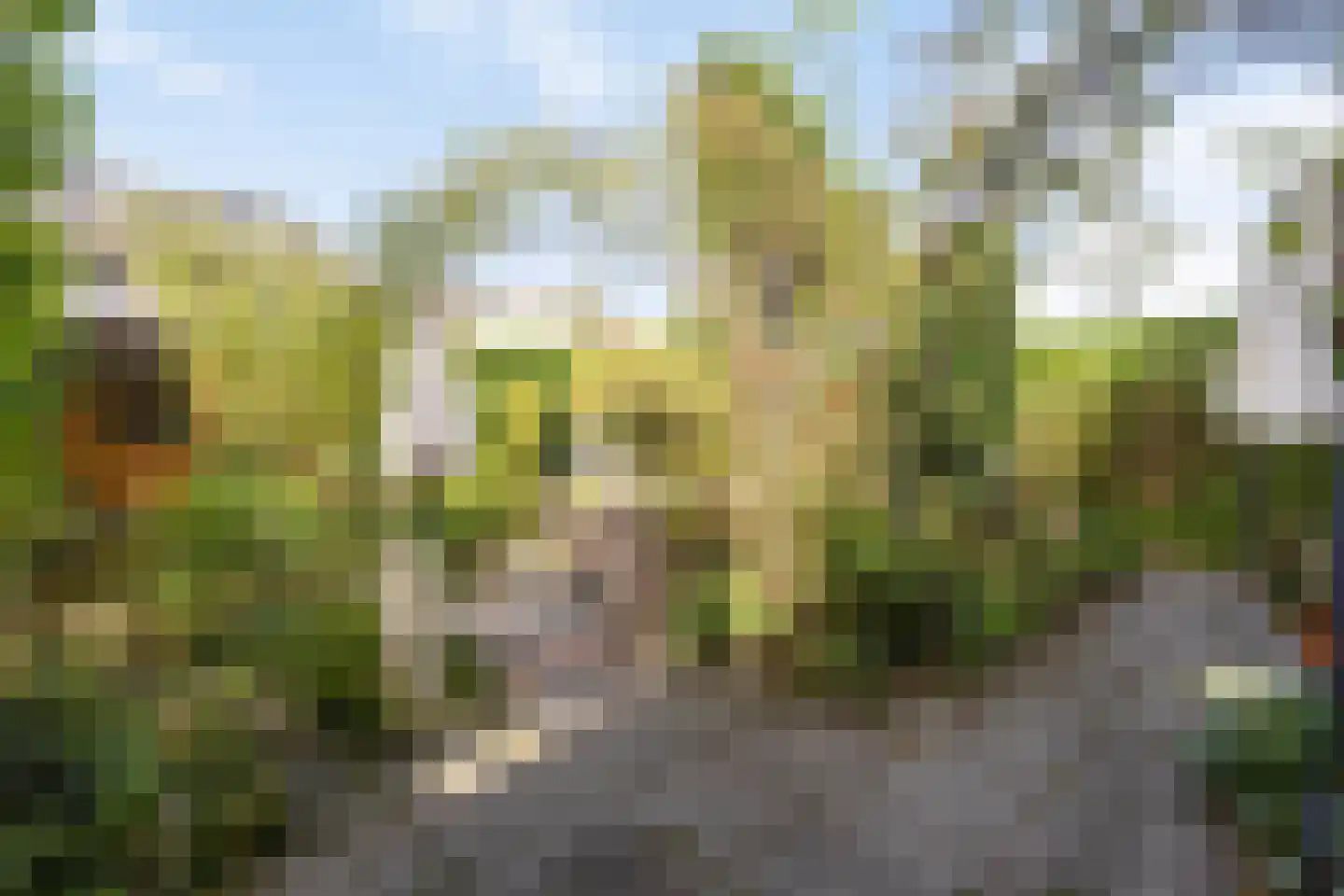 Beatrixstraat 35 Cadier en Keer thumbnail 5