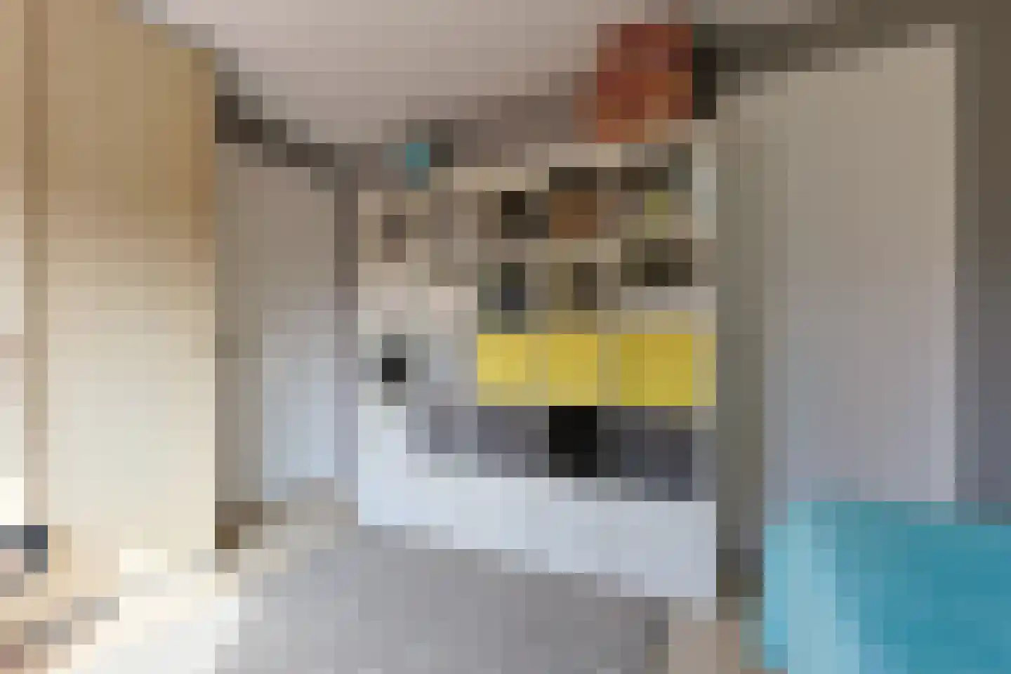 Beatrixstraat 35 Leiderdorp thumbnail 19