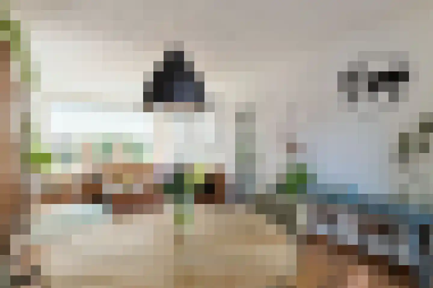 Beatrixstraat 35 Leiderdorp thumbnail 4