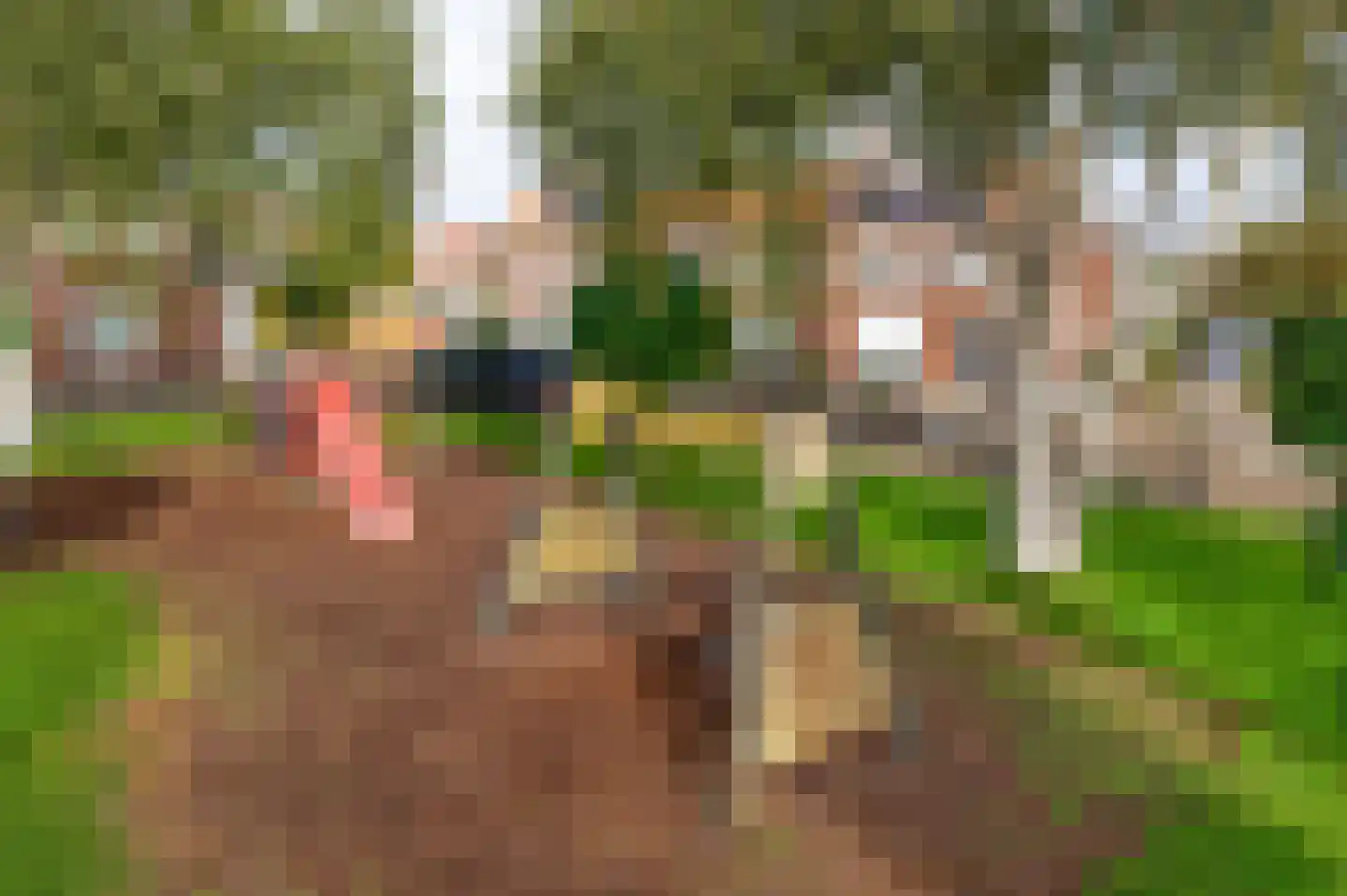 Beatrixstraat 35 Oud Gastel thumbnail 38