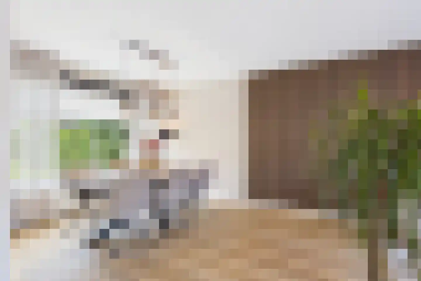 Beatrixstraat 37 Axel thumbnail 10