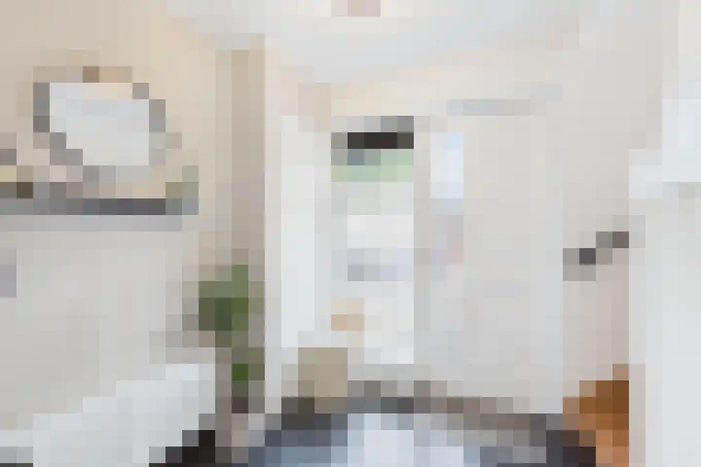 Beatrixstraat 37 Axel thumbnail 6