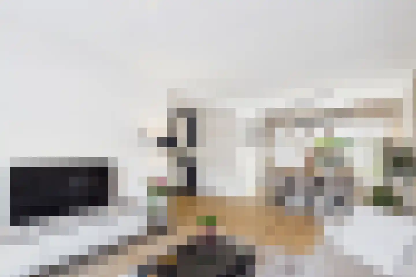 Beatrixstraat 37 Axel thumbnail 7