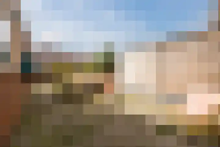 Beatrixstraat 37 Terneuzen thumbnail 22